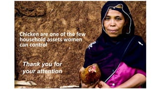 A platform for testing, delivering, and continuously improving tropically-adapted chickens for productivity growth in sub-Saharan Africa