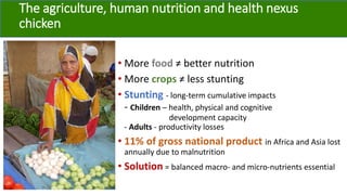 A platform for testing, delivering, and continuously improving tropically-adapted chickens for productivity growth in sub-Saharan Africa