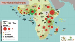 A platform for testing, delivering, and continuously improving tropically-adapted chickens for productivity growth in sub-Saharan Africa