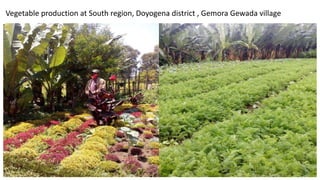 A platform for testing, delivering, and continuously improving tropically-adapted chickens for productivity growth in sub-Saharan Africa