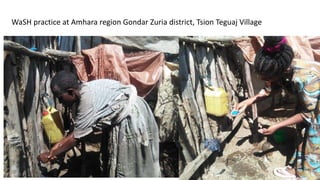 A platform for testing, delivering, and continuously improving tropically-adapted chickens for productivity growth in sub-Saharan Africa