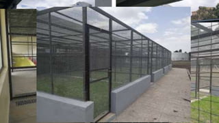 A platform for testing, delivering, and continuously improving tropically-adapted chickens for productivity growth in sub-Saharan Africa