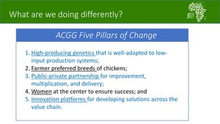 A platform for testing, delivering, and continuously improving tropically-adapted chickens for productivity growth in sub-Saharan Africa