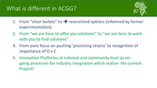 A platform for testing, delivering, and continuously improving tropically-adapted chickens for productivity growth in sub-Saharan Africa