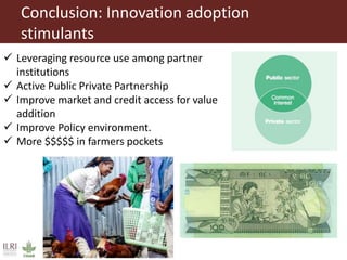 Perspectives on innovation adoption (Poultry)