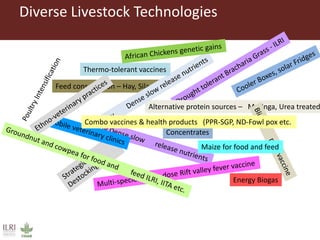 Perspectives on innovation adoption (Poultry)