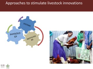 Perspectives on innovation adoption (Poultry)