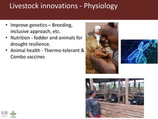 Perspectives on innovation adoption (Poultry)