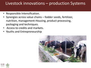 Perspectives on innovation adoption (Poultry)