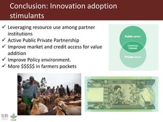 Perspectives on innovation adoption (Small ruminant)
