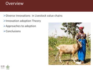 Perspectives on innovation adoption (Small ruminant)