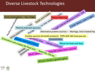 Perspectives on innovation adoption (Small ruminant)