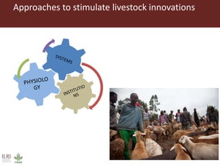 Perspectives on innovation adoption (Small ruminant)