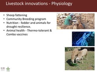 Perspectives on innovation adoption (Small ruminant)