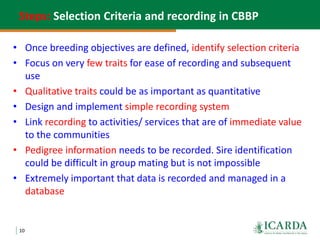 Community-based small ruminant breeding programs—Attractive option in low input systems