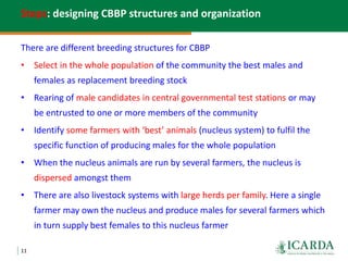 Community-based small ruminant breeding programs—Attractive option in low input systems