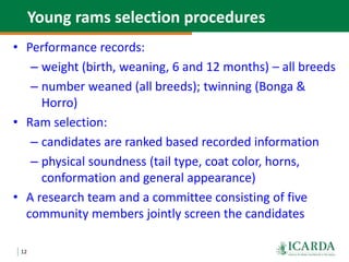 Community-based small ruminant breeding programs—Attractive option in low input systems