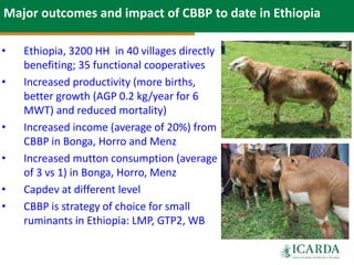 Community-based small ruminant breeding programs—Attractive option in low input systems