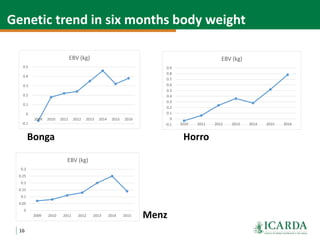 Community-based small ruminant breeding programs—Attractive option in low input systems