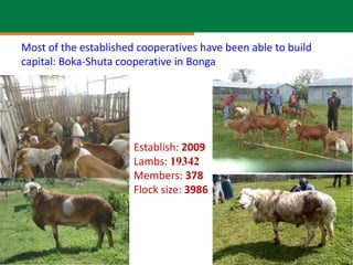 Community-based small ruminant breeding programs—Attractive option in low input systems