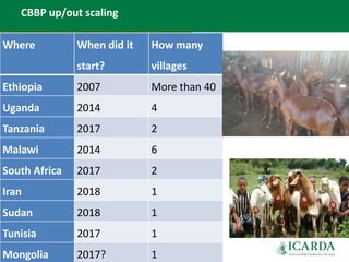 Community-based small ruminant breeding programs—Attractive option in low input systems