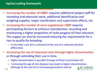 Community-based small ruminant breeding programs—Attractive option in low input systems