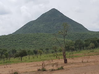 Community-based small ruminant breeding programs—Attractive option in low input systems