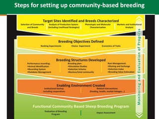 Community-based small ruminant breeding programs—Attractive option in low input systems