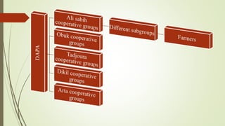Djibouti—Country implementation strategic for scaling technology