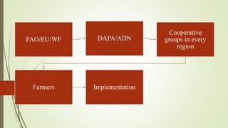 Djibouti—Country implementation strategic for scaling technology