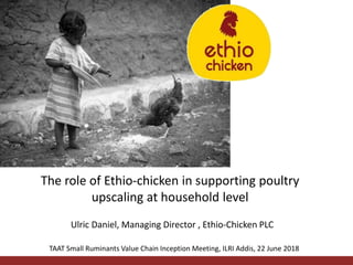 TAAT Small Ruminants Value Chain Inception Meeting, ILRI Addis, 22 June 2018
Ulric Daniel, Managing Director , Ethio-Chicken PLC
The role of Ethio-chicken in supporting poultry
upscaling at household level
 