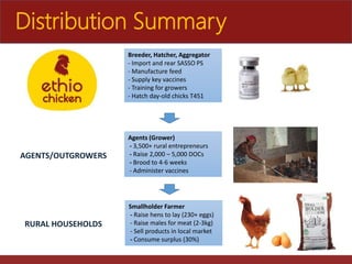 The role of Ethio-chicken in supporting poultry upscaling at household level