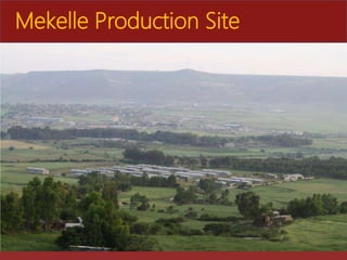 The role of Ethio-chicken in supporting poultry upscaling at household level