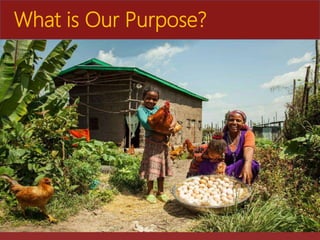 The role of Ethio-chicken in supporting poultry upscaling at household level