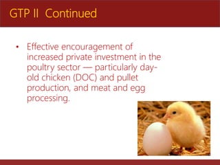 The role of Ethio-chicken in supporting poultry upscaling at household level