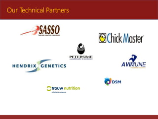 The role of Ethio-chicken in supporting poultry upscaling at household level