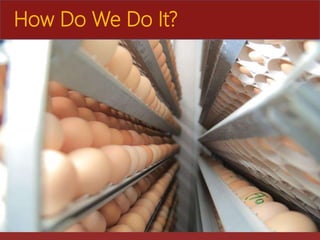 The role of Ethio-chicken in supporting poultry upscaling at household level