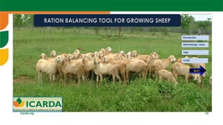  Sheep fattening: The case of Ethiopia