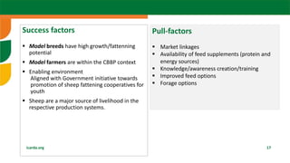  Sheep fattening: The case of Ethiopia