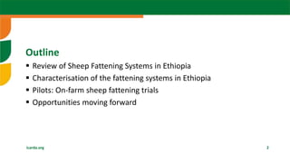  Sheep fattening: The case of Ethiopia