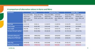  Sheep fattening: The case of Ethiopia