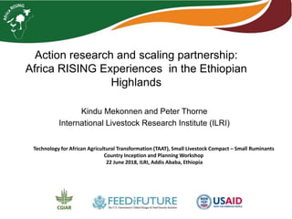 Action research and scaling partnership:
Africa RISING Experiences in the Ethiopian
Highlands
Kindu Mekonnen and Peter Thorne
International Livestock Research Institute (ILRI)
Technology for African Agricultural Transformation (TAAT), Small Livestock Compact – Small Ruminants
Country Inception and Planning Workshop
22 June 2018, ILRI, Addis Ababa, Ethiopia
 