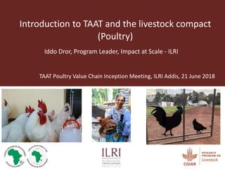 Introduction to TAAT and the livestock compact
(Poultry)
Iddo Dror, Program Leader, Impact at Scale - ILRI
TAAT Poultry Value Chain Inception Meeting, ILRI Addis, 21 June 2018
 