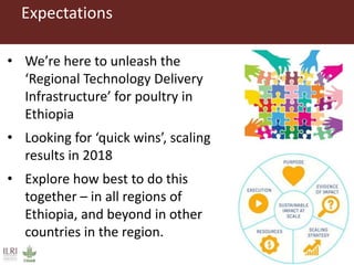 Introduction to Technology for African Agricultural Transformation (TAAT) and the livestock compact (Poultry)
