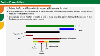 Scaling sheep in Ethiopia | PPTX | Agriculture | Industries