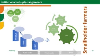 Scaling sheep in Ethiopia