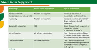 Scaling sheep in Ethiopia