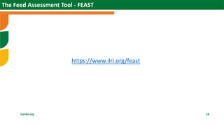 Scaling sheep in Ethiopia