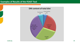 Scaling sheep in Ethiopia