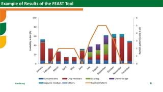 Scaling sheep in Ethiopia